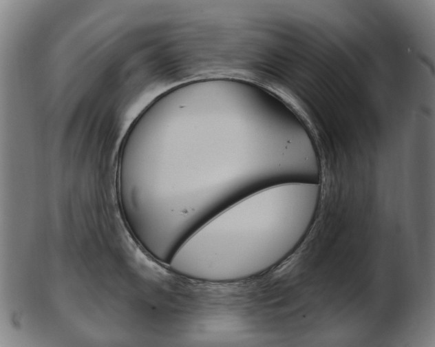 X0000103491102200809120945
