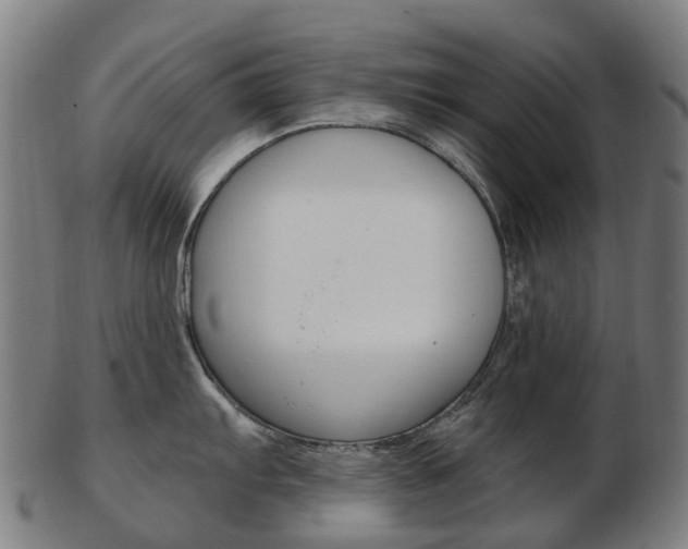 X0000103491103200809120945