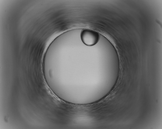 X0000103491104200809120945