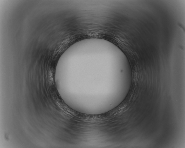 X0000103491106200809120944