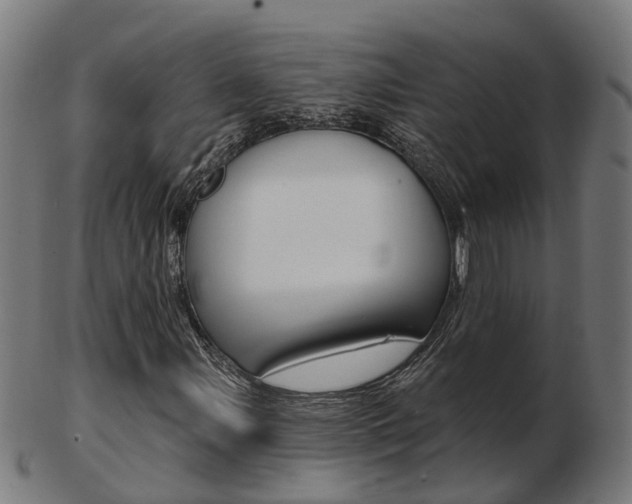 X0000103491107200809120944