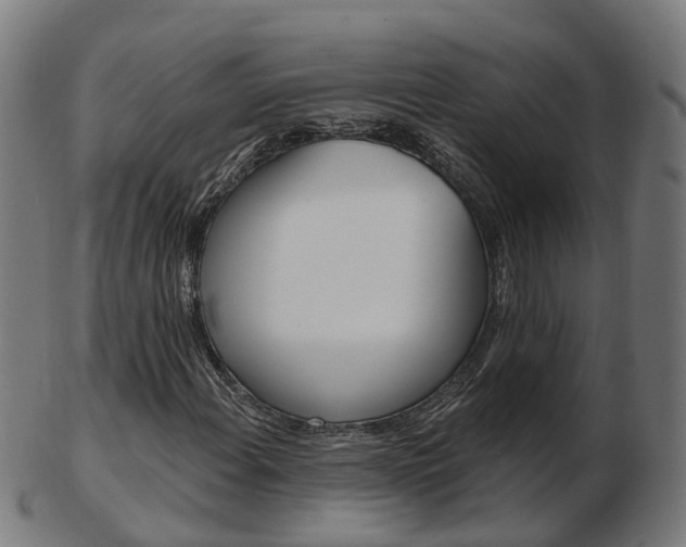 X0000103491108200809120944