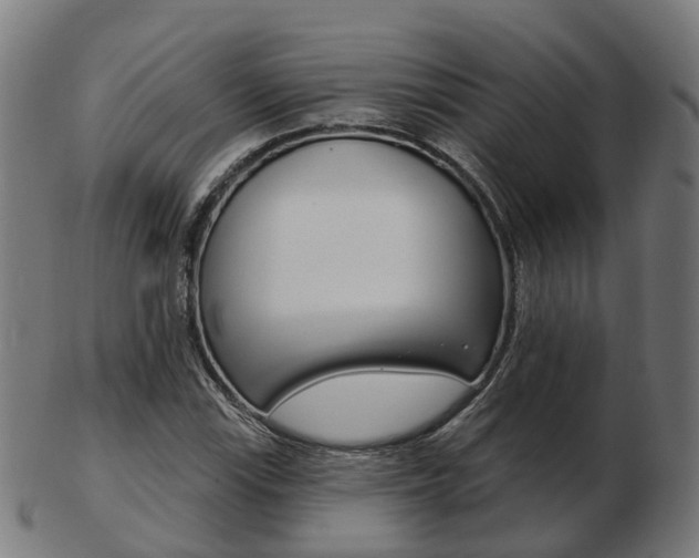 X0000103491115200809120944