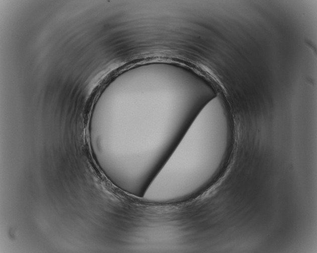 X0000103491117200809120944