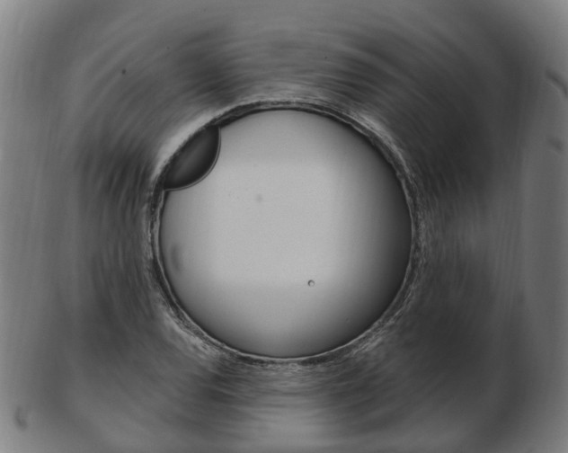X0000103491120200809120944