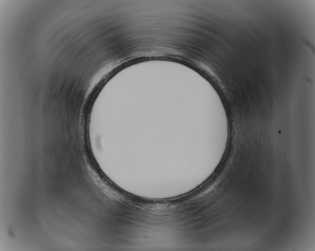 X0000103491122200809120944