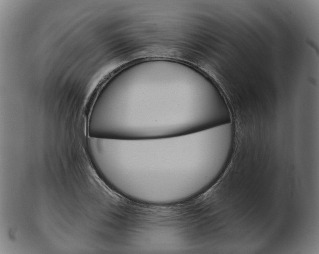 X0000103491123200809120944