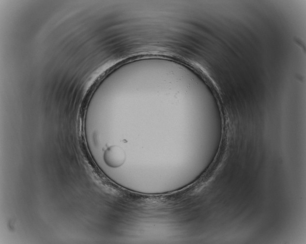 X0000103491125200809120944