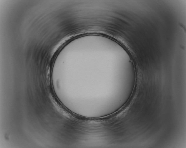X0000103491126200809120944