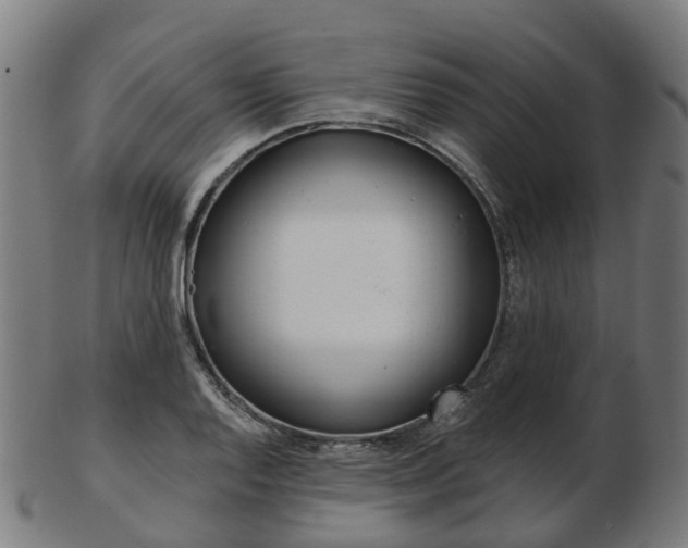 X0000103491128200809120944