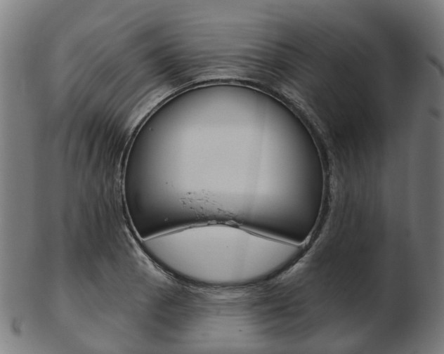 X0000103491129200809120944