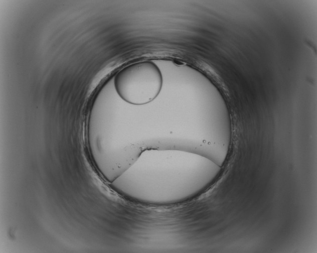X0000103491130200809120944