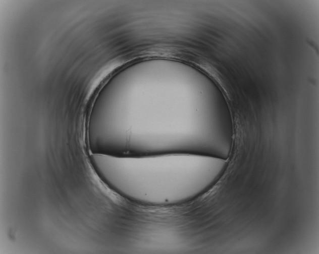 X0000103491131200809120944