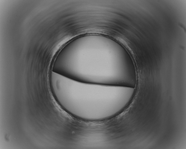 X0000103491133200809120944