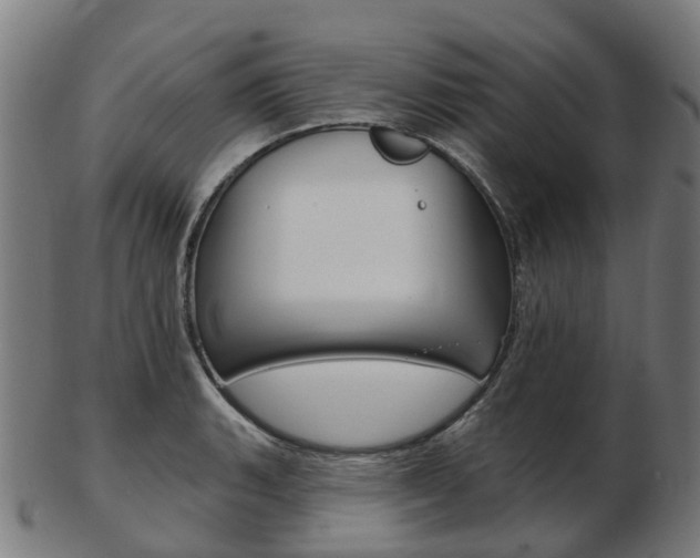 X0000103491135200809120945