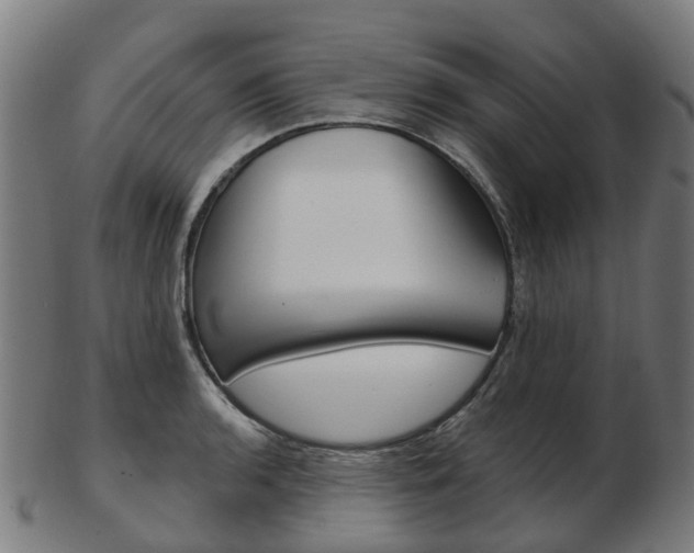 X0000103491136200809120945