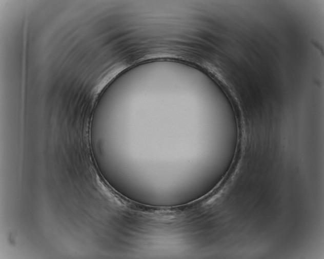 X0000103491137200809120945