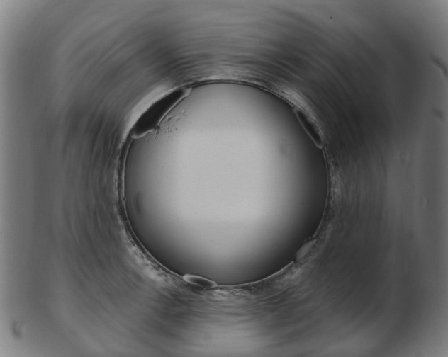 X0000103491138200809120945