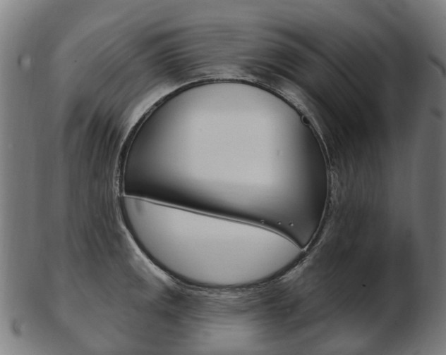 X0000103491141200809120945