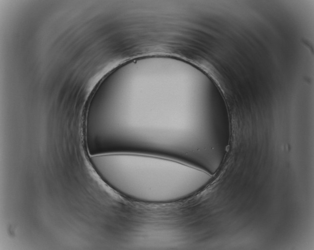 X0000103491142200809120945