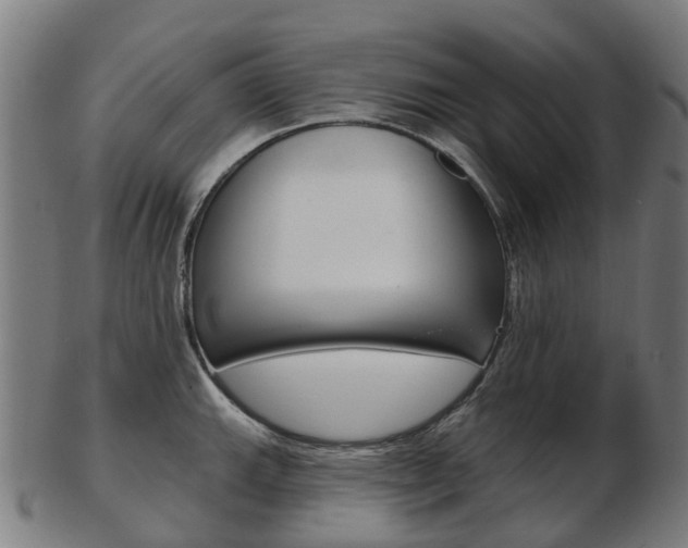 X0000103491143200809120945