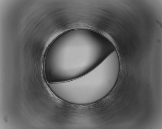 X0000103491144200809120945