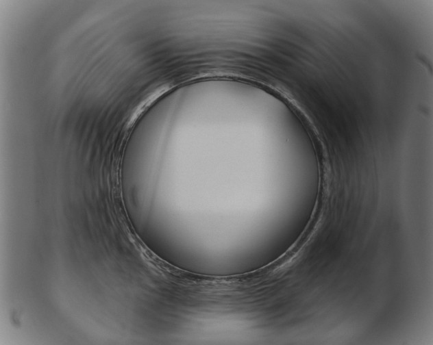 X0000103491145200809120945