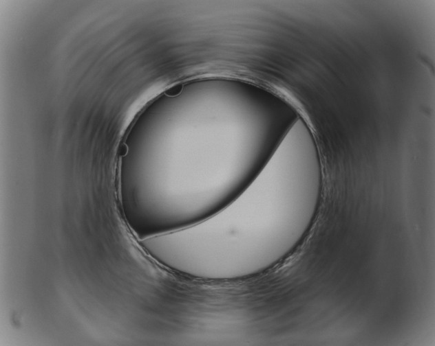 X0000103491146200809120945