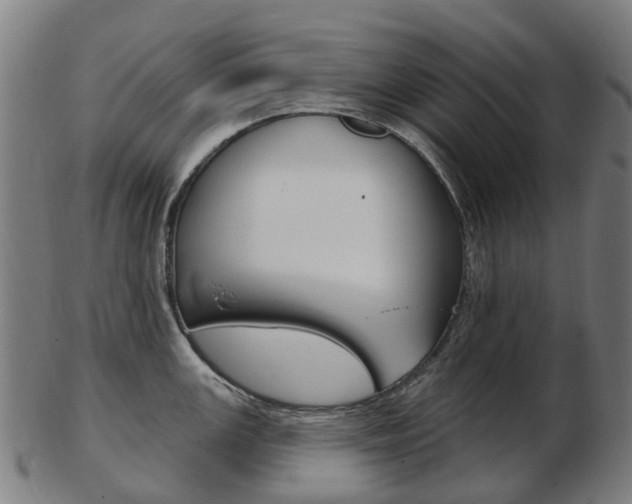 X0000103491147200809120945