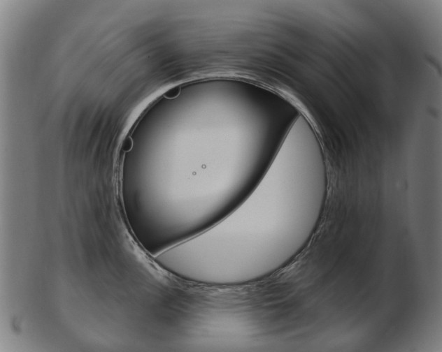 X0000103491148200809120945