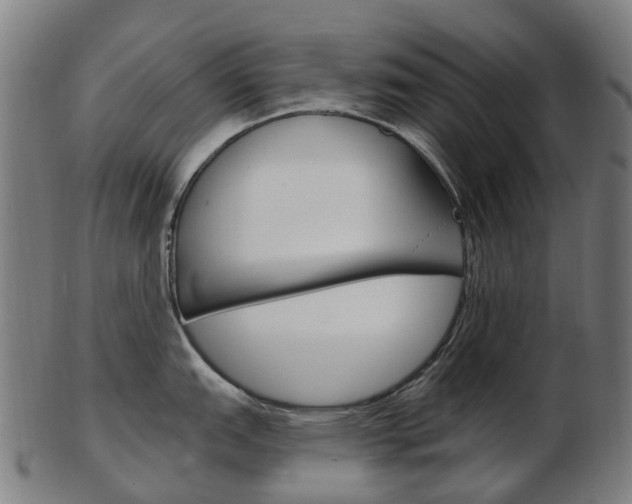 X0000103491151200809120945