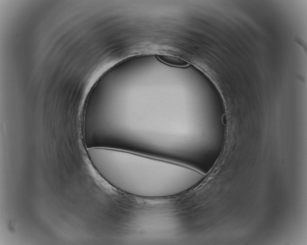 X0000103491152200809120945