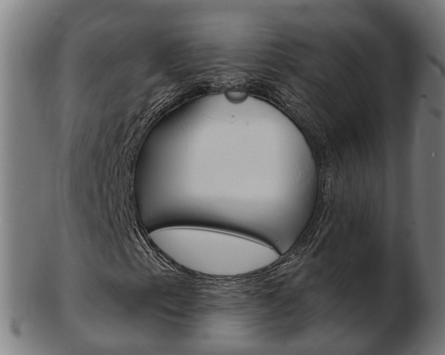 X0000103491153200809120944