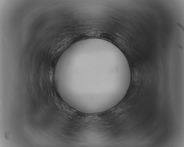 X0000103491154200809120944