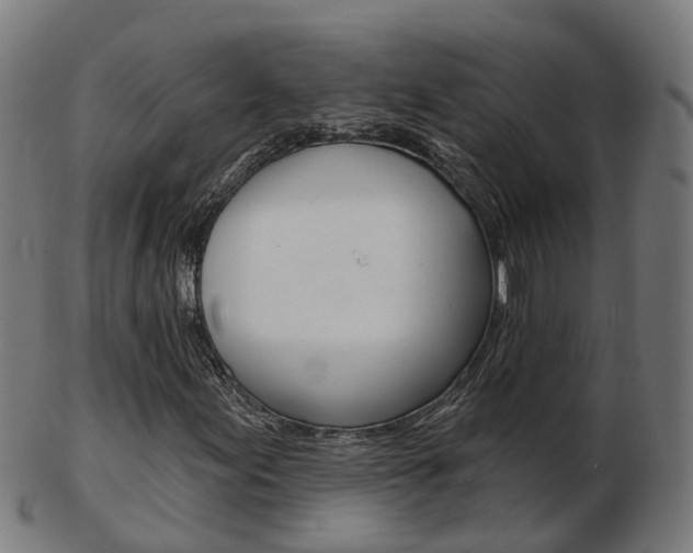 X0000103491155200809120944