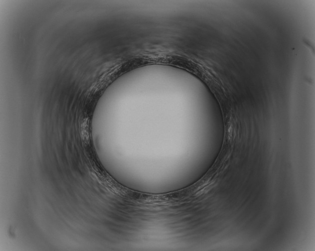 X0000103491156200809120944