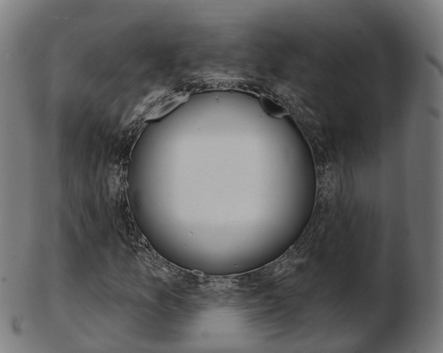X0000103491157200809120944