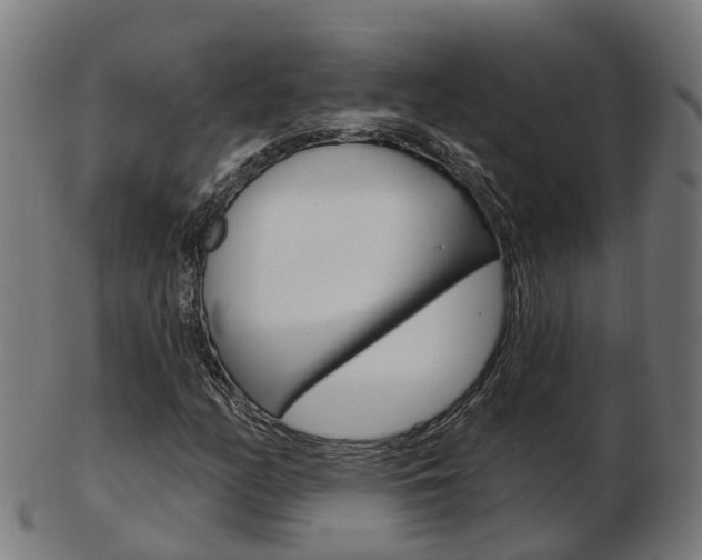 X0000103491158200809120944
