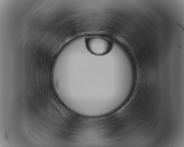 X0000103491161200809120944