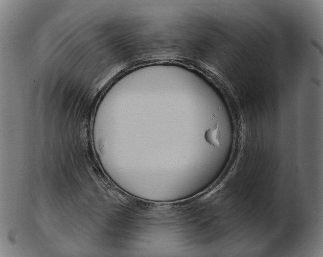 X0000103491162200809120944