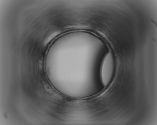X0000103491163200809120944