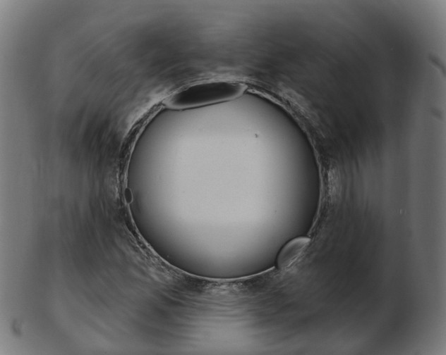 X0000103491165200809120944