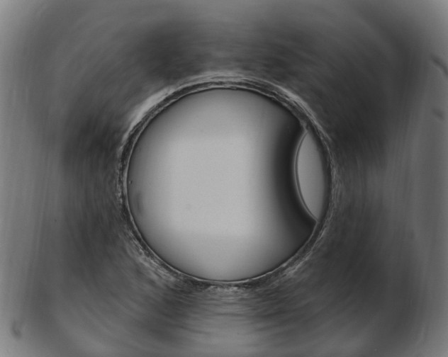 X0000103491168200809120944
