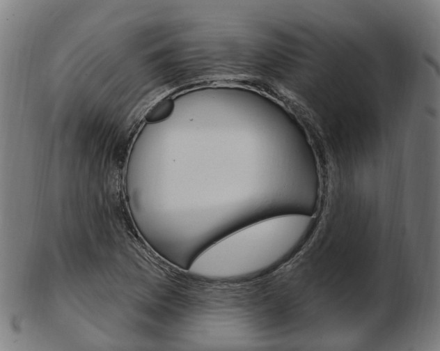 X0000103491169200809120944