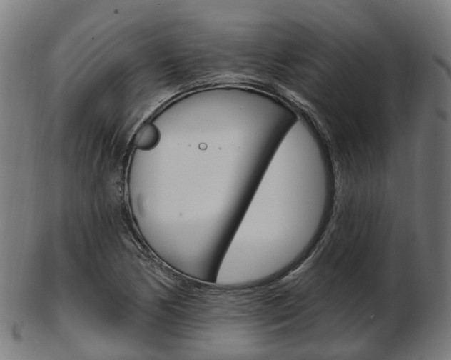 X0000103491170200809120944