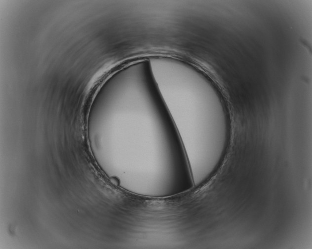 X0000103491172200809120944