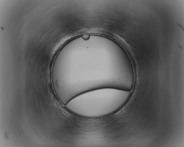 X0000103491174200809120944