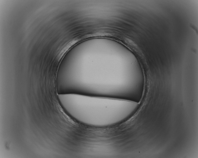 X0000103491177200809120944