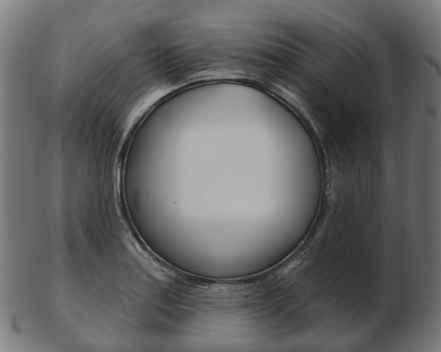 X0000103491179200809120944