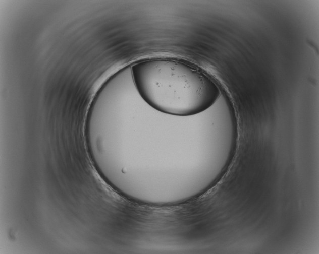 X0000103491181200809120944